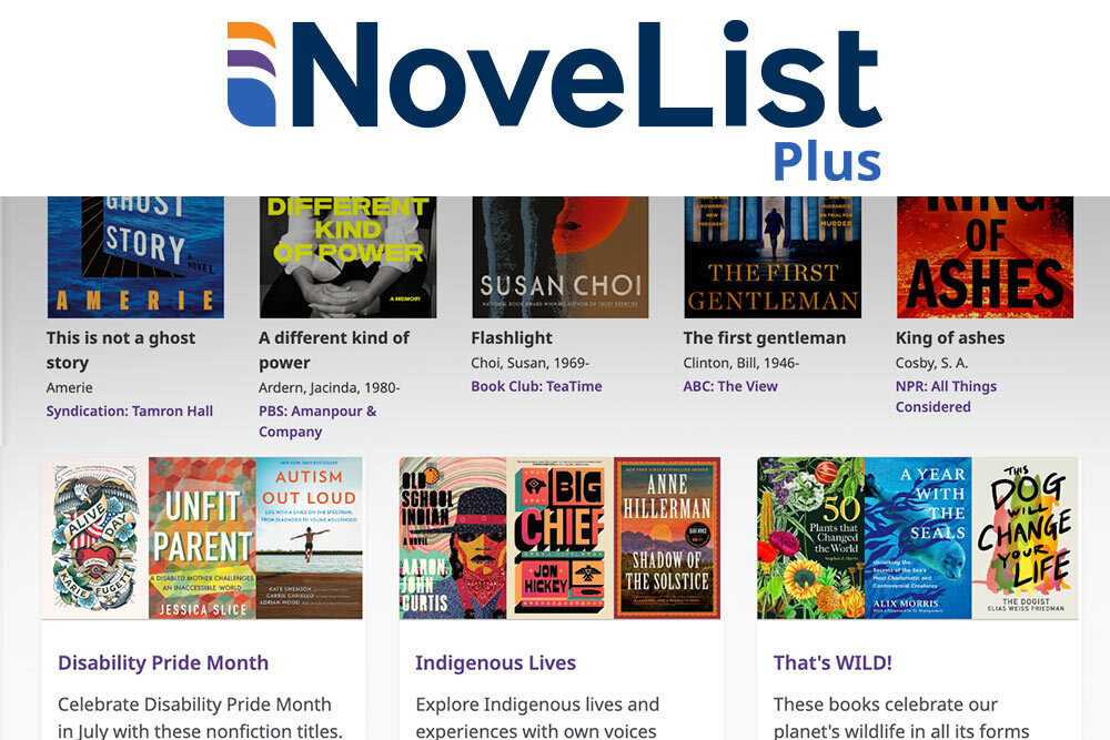 Database Novelist Plus books July 2025