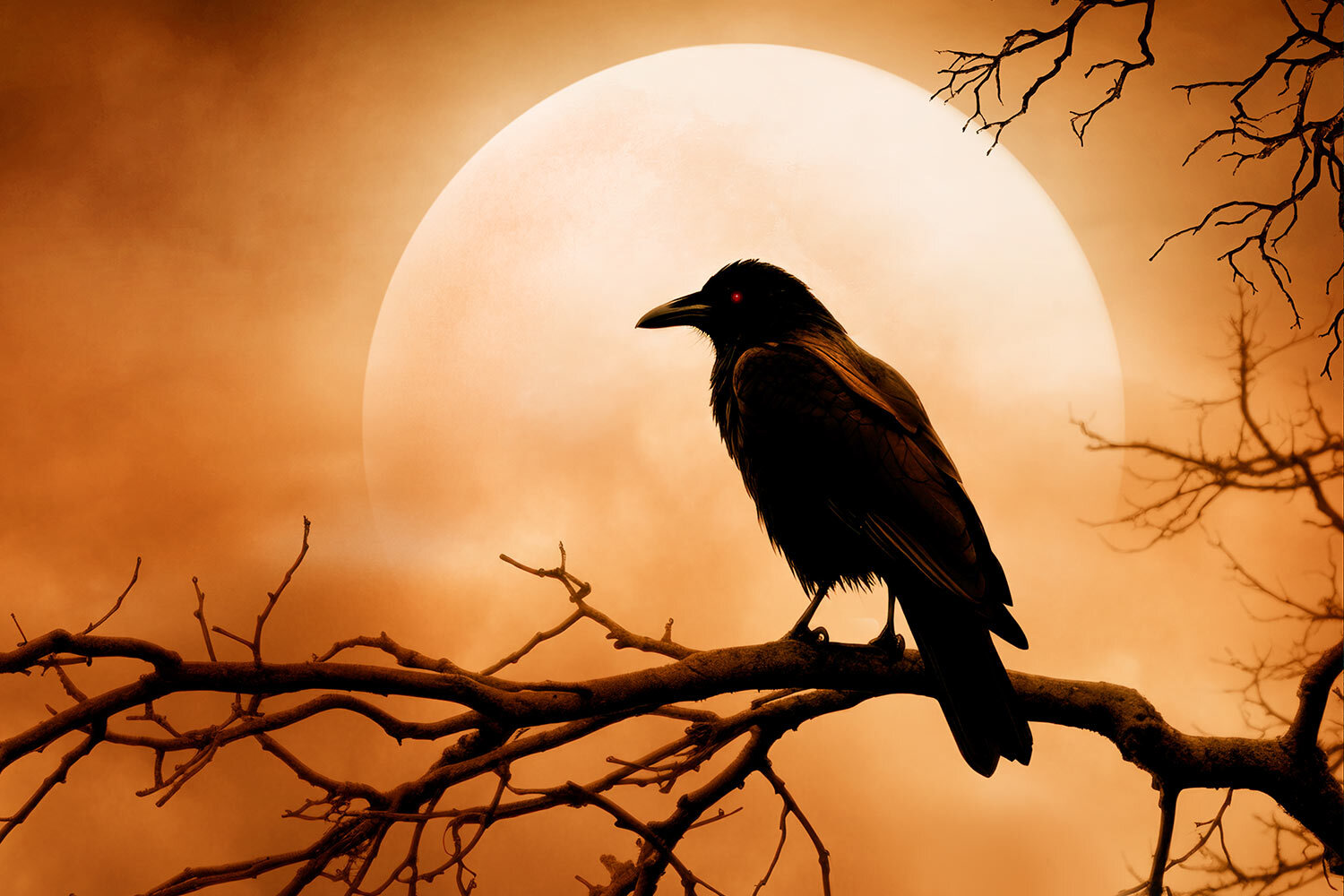 spooky events raven branch moon orange sky red eye